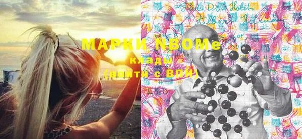 стафф Снежногорск