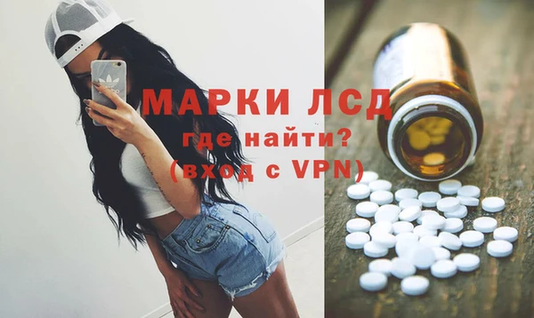 стафф Снежногорск