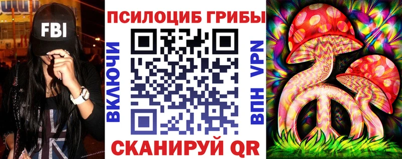 Псилоцибиновые грибы Psilocybine cubensis  Купить  Светлоград 